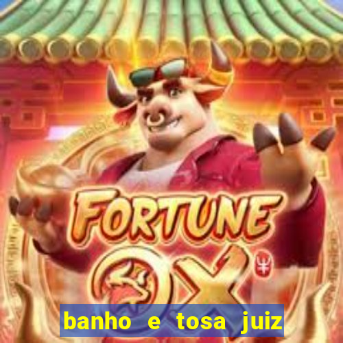 banho e tosa juiz de fora